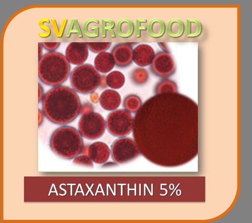 Top Quality Pure Astaxanthin 1percentage 5Percentage Astaxanthin Powder