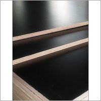 Shuttering Plywood