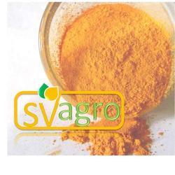 Turmeric extract Manufacturer