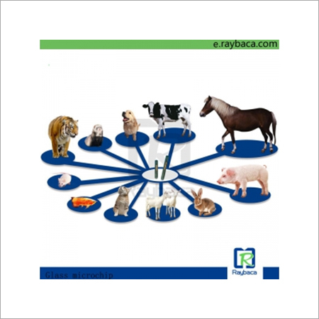 RFID Pet Glass Electronic Chip Tag