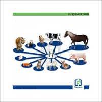 Rfid Pet Glass Electronic Chip Tag