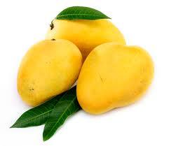 Alphonso Mangoes