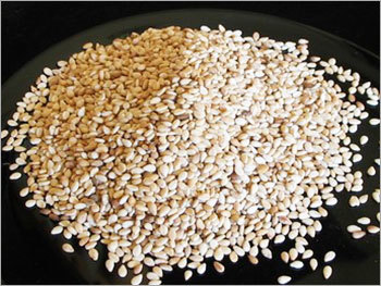 Sesame