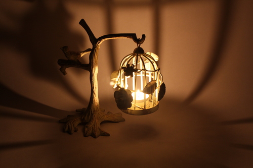Casted Bird Cage