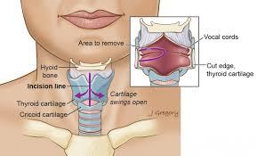 ENT Treatment