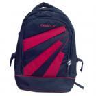 Oracle Back pack