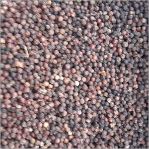 Indian Pepper