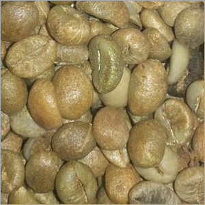 Organic Robusta Coffee Bean