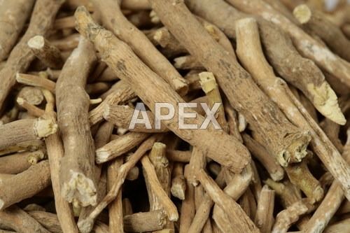 Ashwagandha Leaves - Ingredients: Herbs