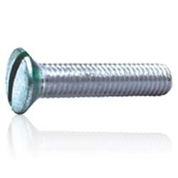 Raised Slotted Screw
