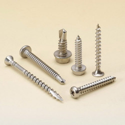 Steel Screw