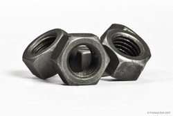 Hex Nut