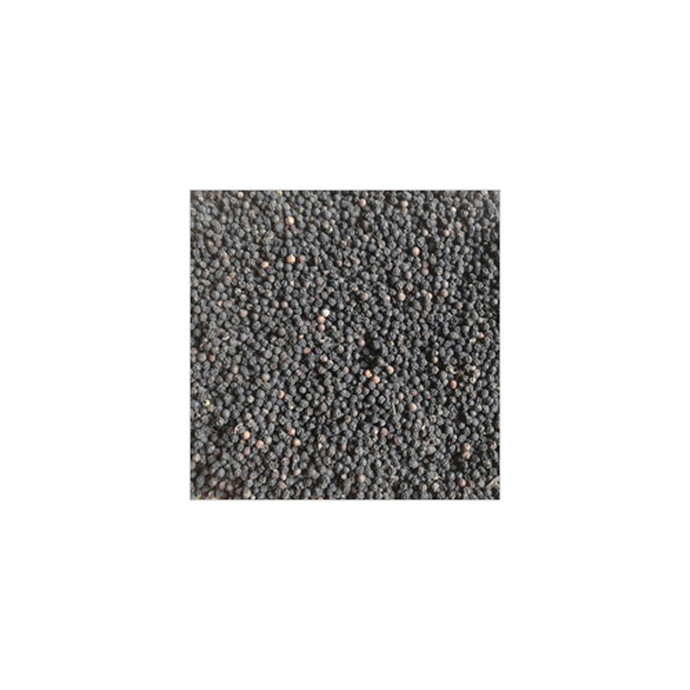 Black Pepper Seeds