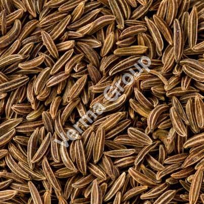 Caraway Seed Oils
