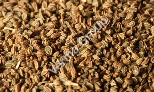 Celery seeds oil