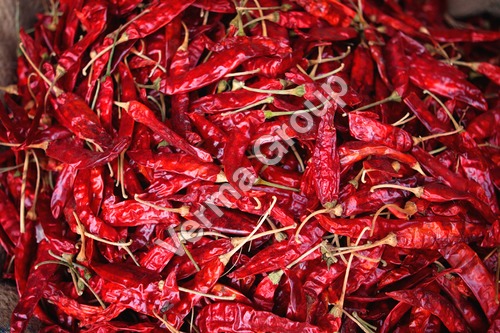Chillies oils