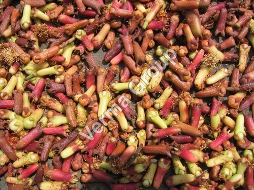 Clove seeds Oil