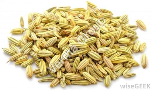Fennel Seeds Oil
