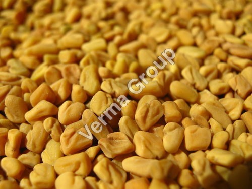 Fenugreek Seed Oil