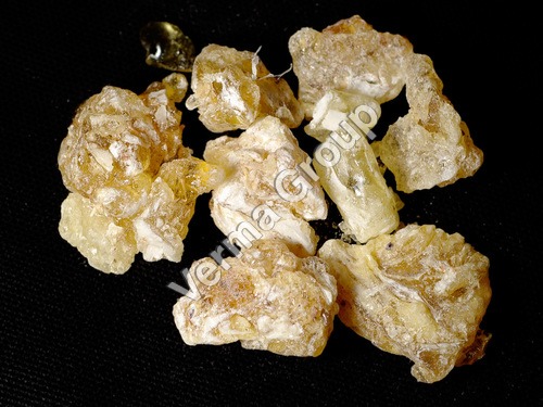 Olibanum Oil