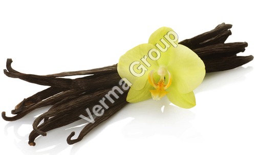 Vanilla Absolute Oil