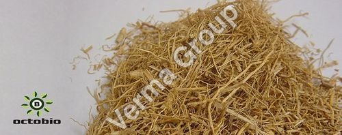 Vetiver Oil