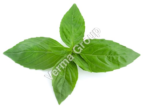 Spice Oleoresins Oils