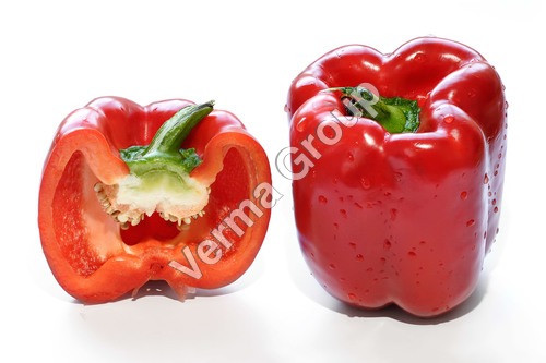 Capsicum Oleoresin 0.5% Capsaicin