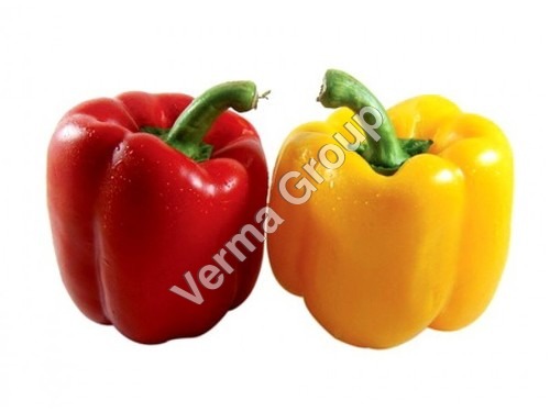 Capsicum Oleoresin 2.5% Capsaicin