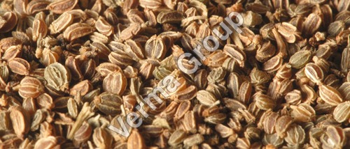 Celery Seed Oleoresin