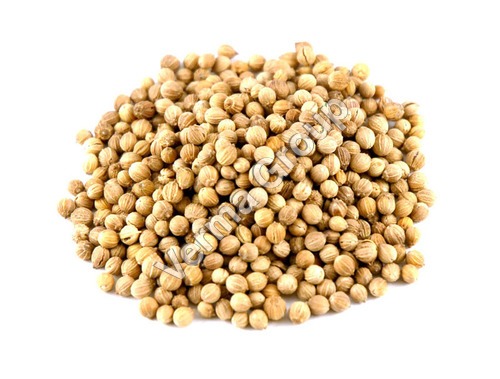 Coriander Oleoresin (Green) 1.5% VOC