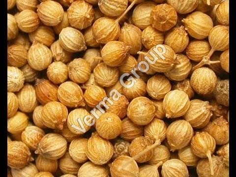 Coriander Oleoresin (Roasted) 1% VOC