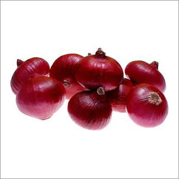 Onion