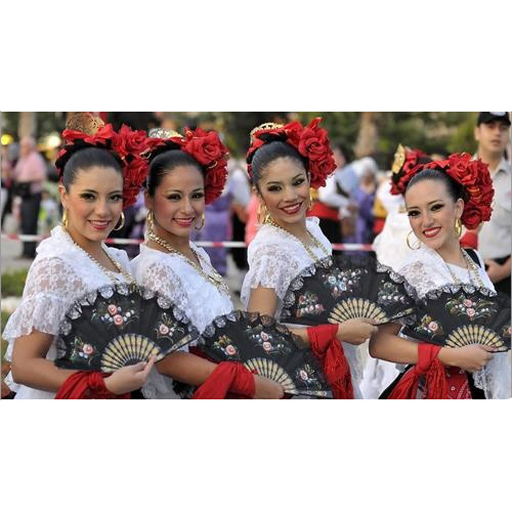 Black Chinese Hand Fan