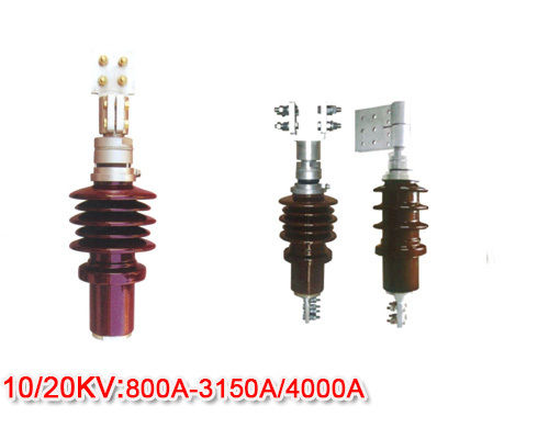 Transformer Bushing Insulator