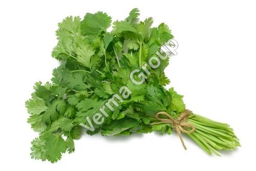 Cumin Seed Oleoresin 10% VOC
