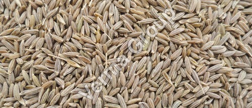 Cumin Oleoresin