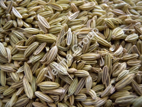 Fennel Seed Oleoresin