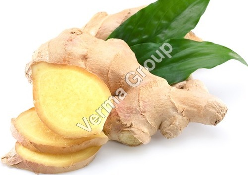 Ginger Oleoresin