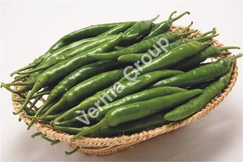 Green Chillie Oleoresin (3.3% Capsaicin)