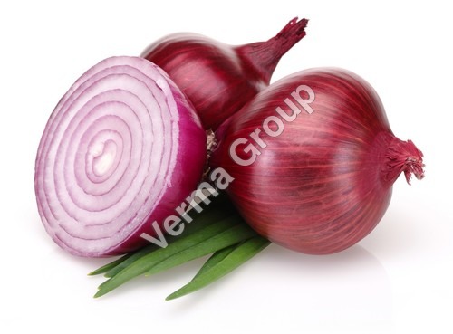 Onion Oleoresin