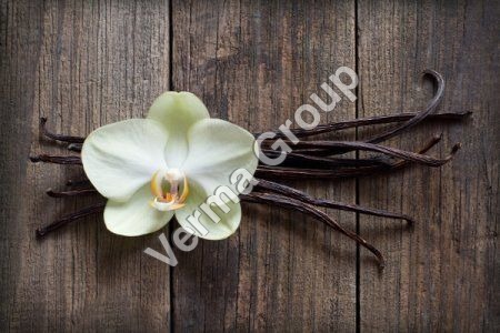 Vanilla Extract Oleoresin