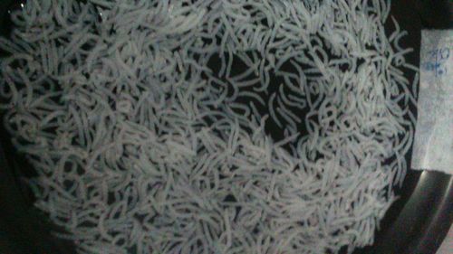 Basmati Rice