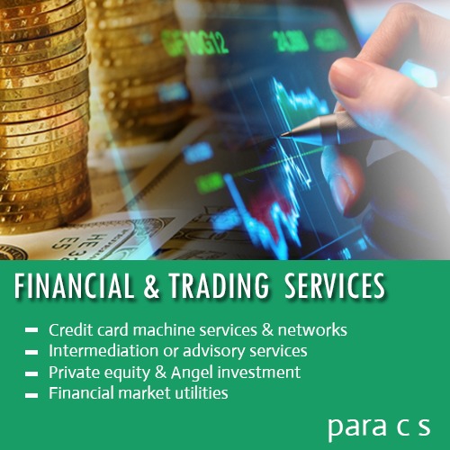 Financial Services By PARA CONSULTANCY SERVICES