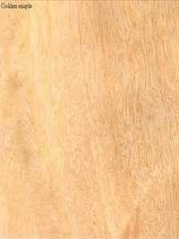 Golden-Maple Veneers