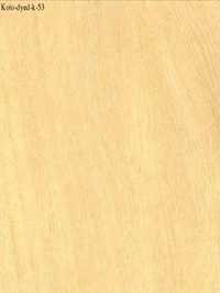 Koto-Dyed-K-53 Veneers