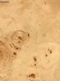 Mappa-Burl Veneers
