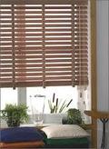 Horizontal Window Blind