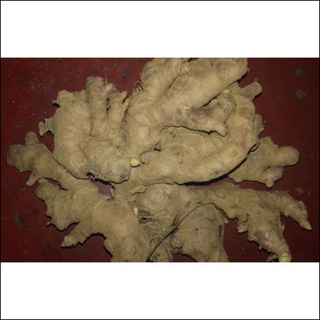 Organic Ginger