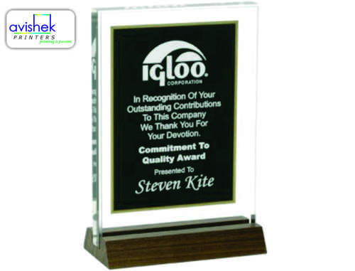 Customized Trophy Printing Services